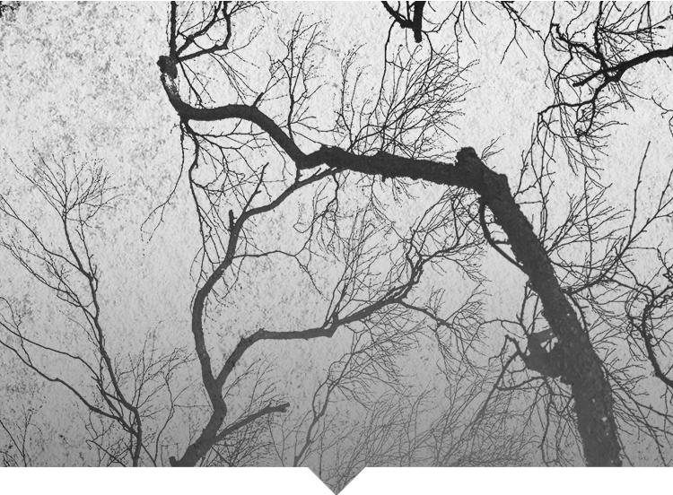 電力巡檢 電力巡檢